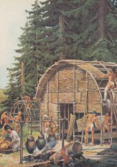 Langhaus im Bau